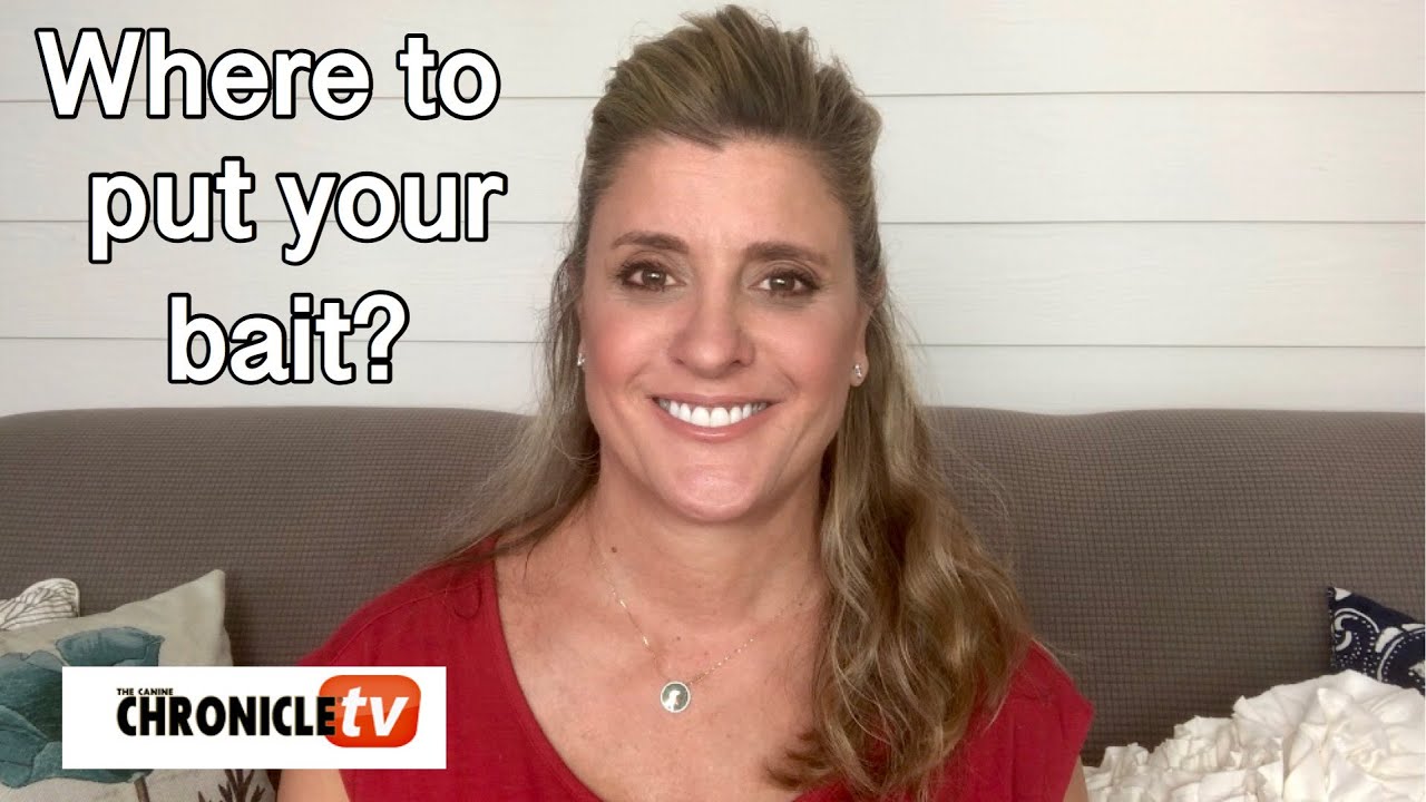 Dog Show Tips & Tricks: Where to put your Bait?