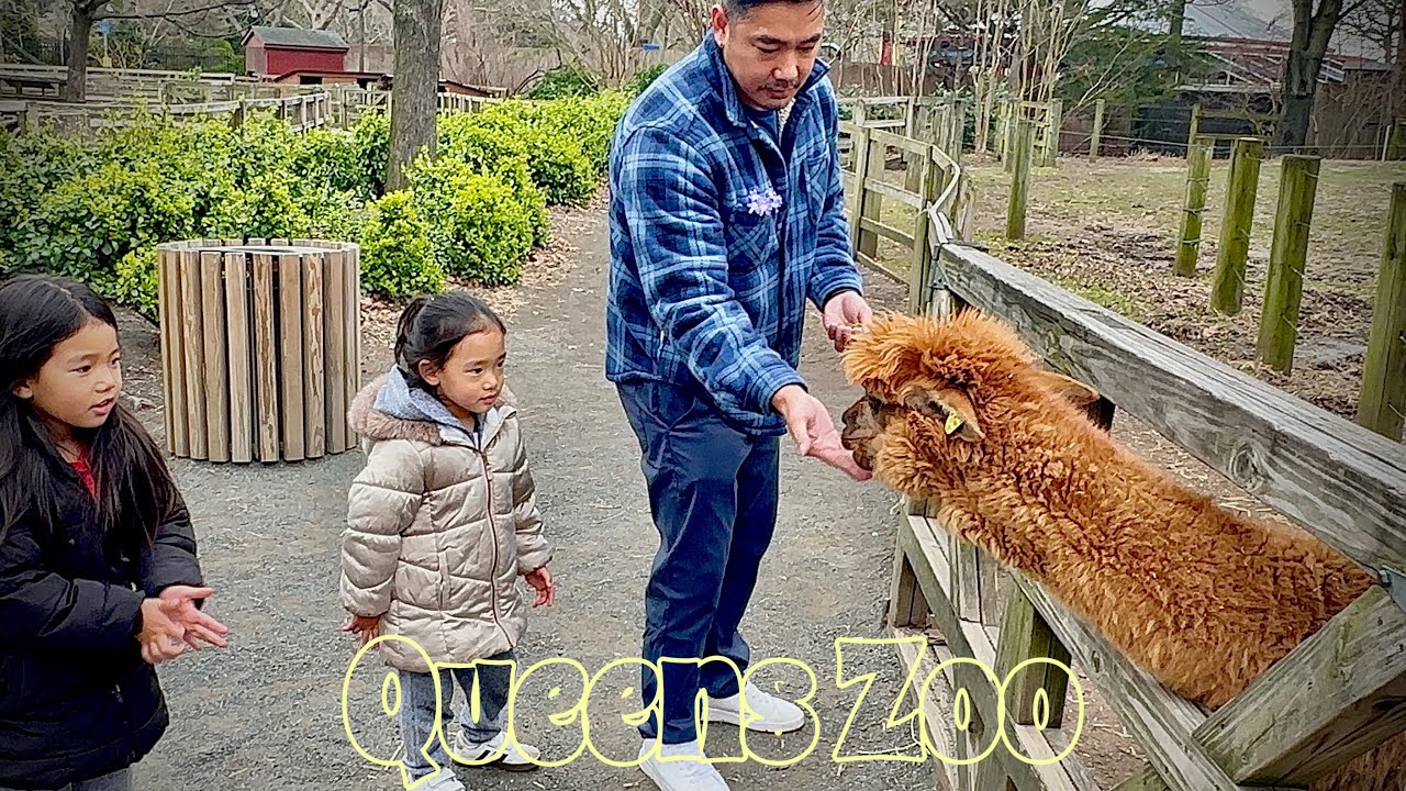 Keeping up with the cousins and friends!! Queens Zoo