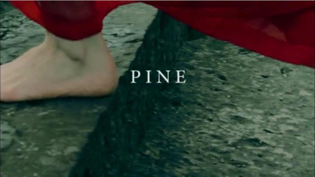 Breda Mayock - Pine