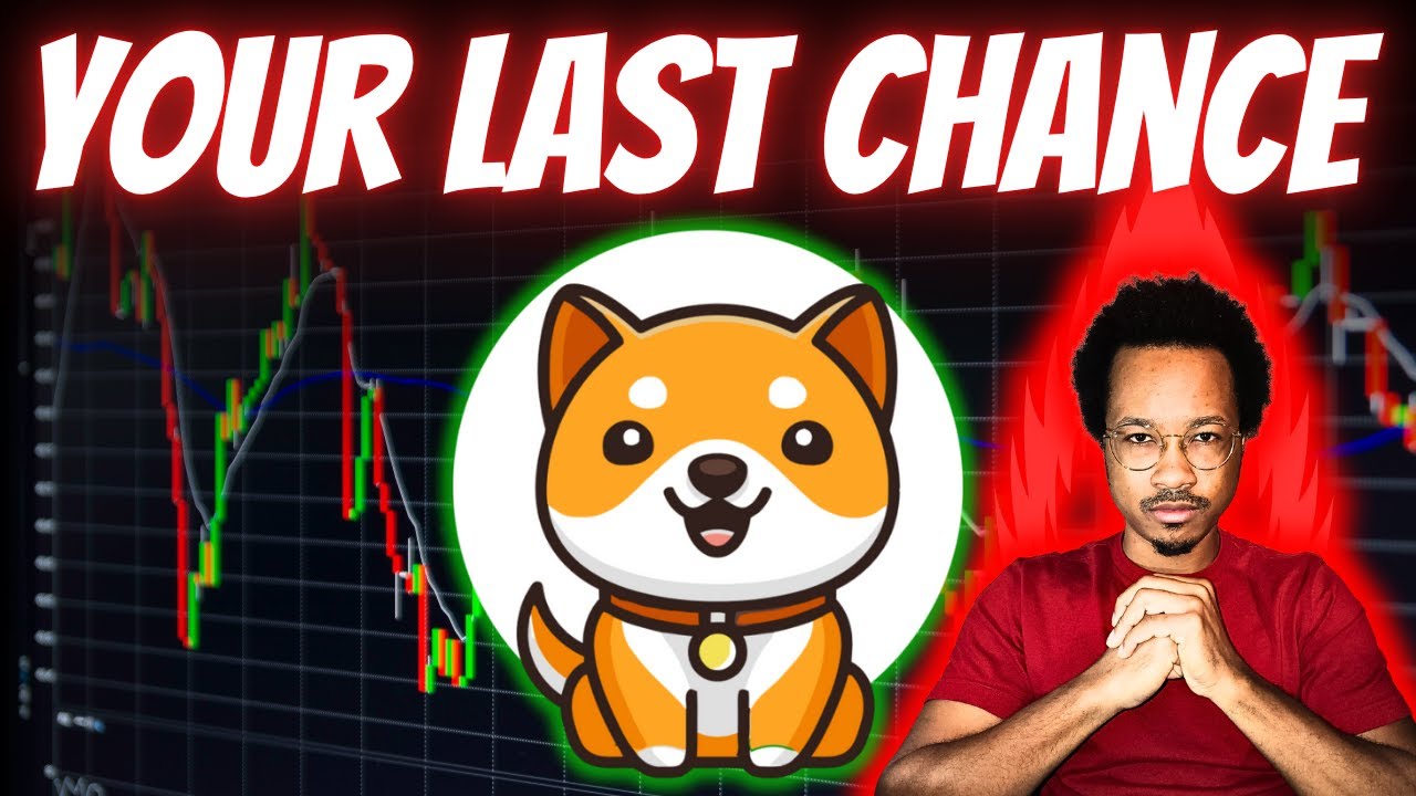 BABY DOGE Holders MUST Do These 3 Things In 2025 TO GET RICH