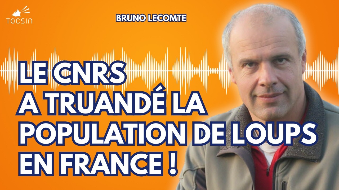 Attaques de loups : la v&eacute;rit&eacute; du terrain par un &eacute;leveur vosgien