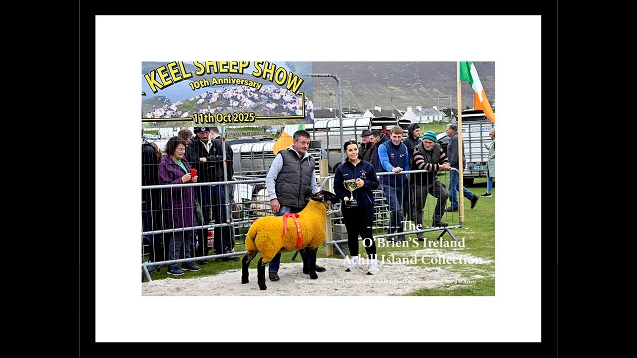 10th Anniversary Of Keel Sheep Show 2025  , Keel Achill Island  