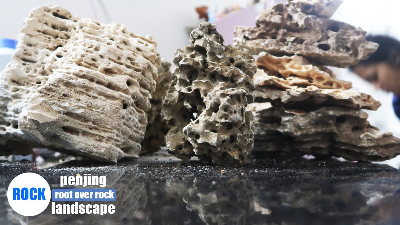 Buy Rocks for Root Over Rock | Landscape Bonsai  | Penjing (Bonsai rocks)
