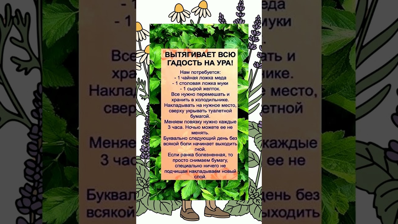 Вытягивает гной за ночь! 🩹 Домашняя мазь #shorts #нарыв #фурункул #oswaldoзнает