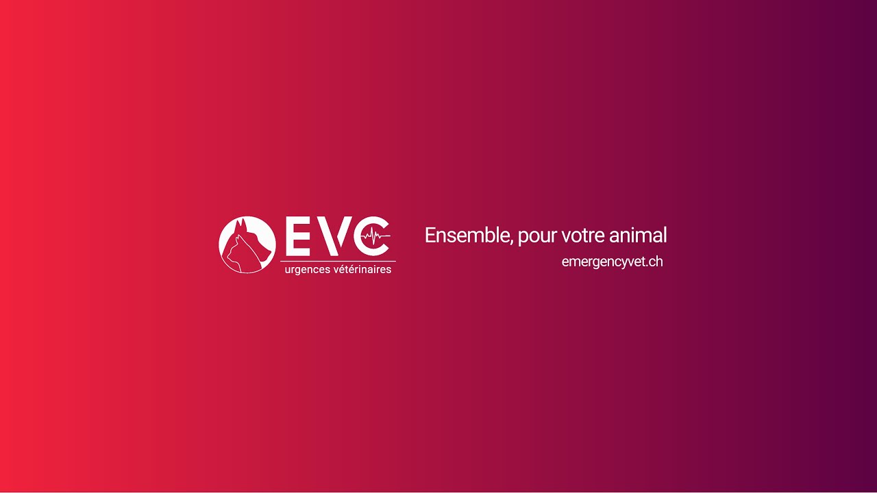 Découvrez les urgences vétérinaires EVC