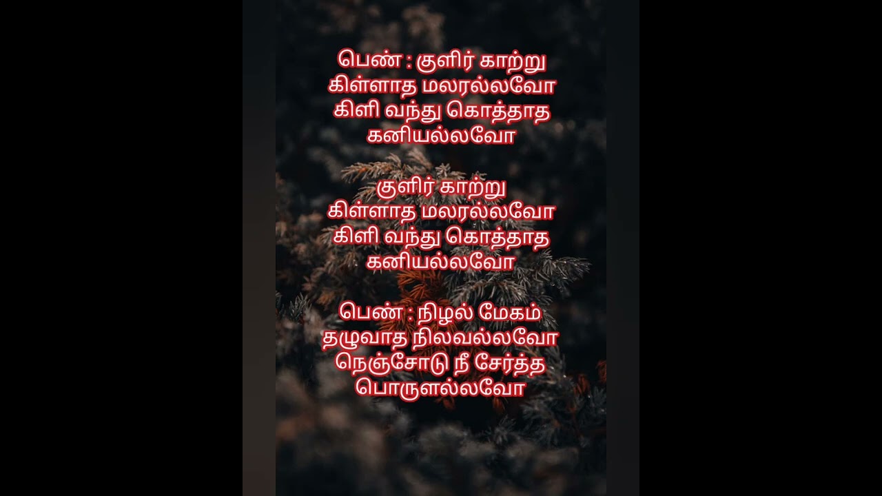 Chandrodayam Oru/ Karaoke Track for Female Singers by Ramamoorthy@60 voice of 20