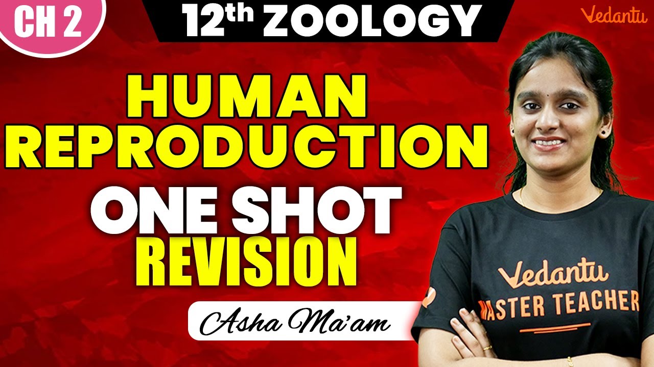 12th Zoology | CH 2 Human Reproduction One Shot Revision | Public Exam 2025 | Asha Ma'am
