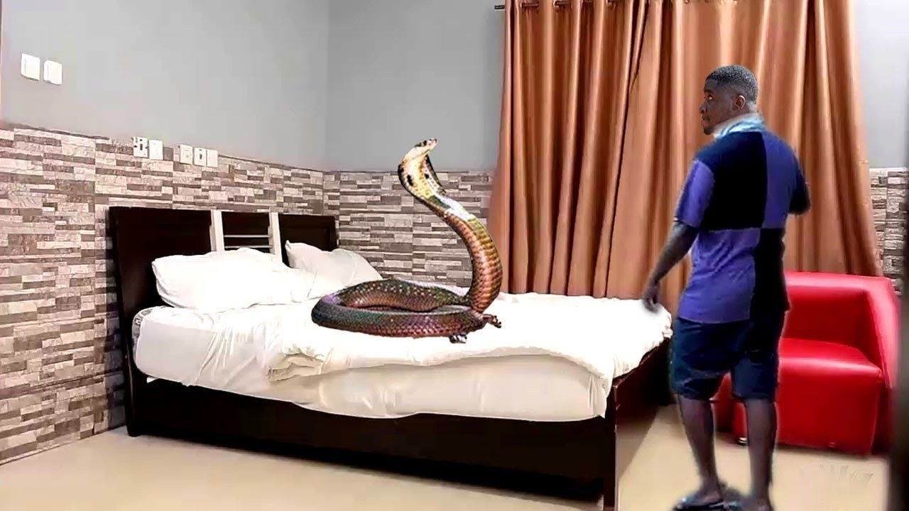 Please I Advise Every Man To Watch This Movie Before Bringing Any Lady Home 2026 New Nigerian Movie