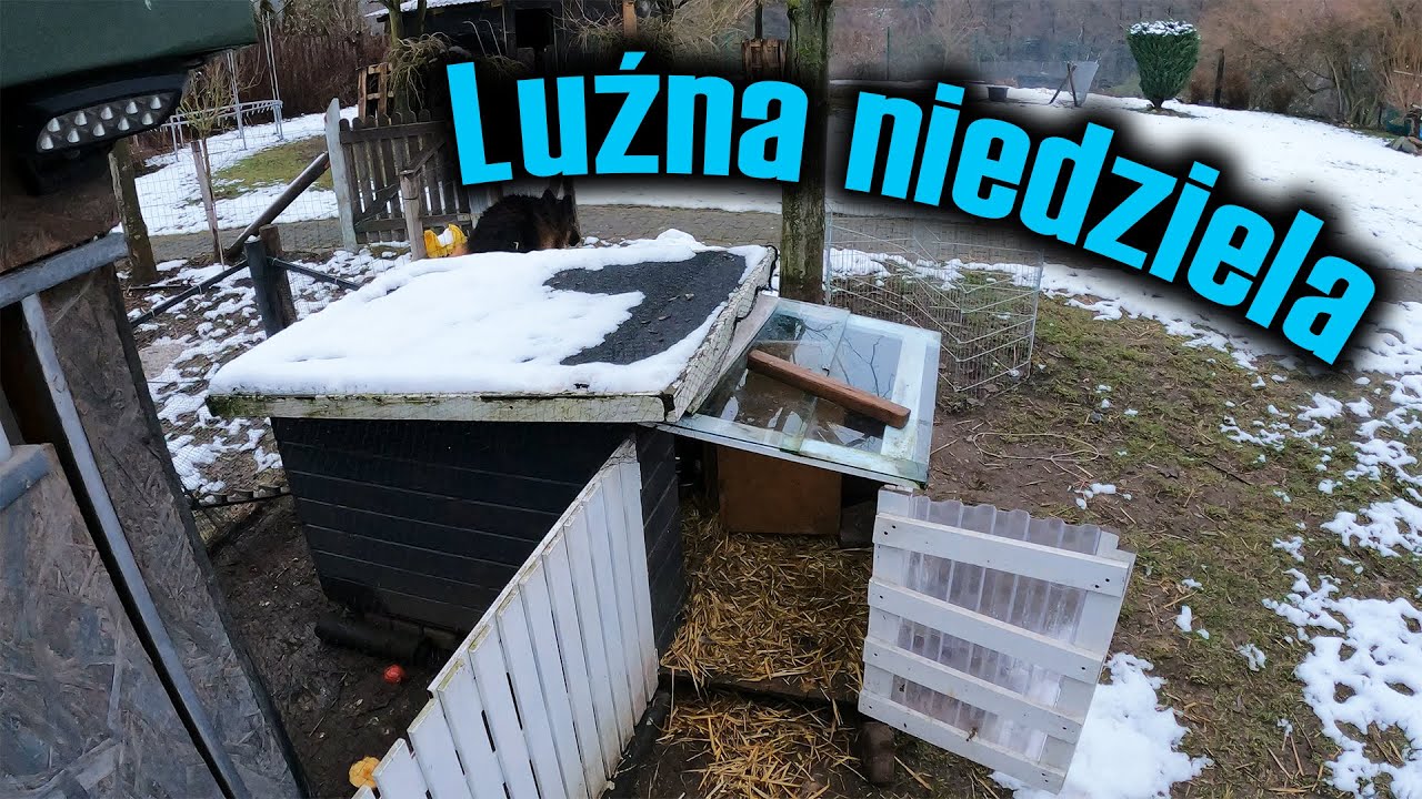 Vlog 51 - Luźna niedziela u Max's Farm | Kury ,Gęsi ,Kaczki :)))