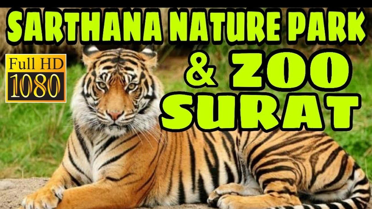 SARTHANA NATURE PARK SURAT GUJARAT || સારથના નેચર પાર્ક || COMPLETE TOUR