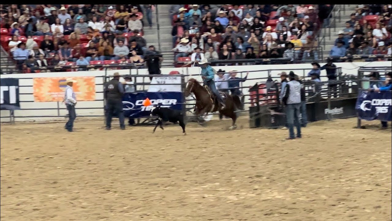 INFR 2023 Calf Roping Championship Saturday 🔥