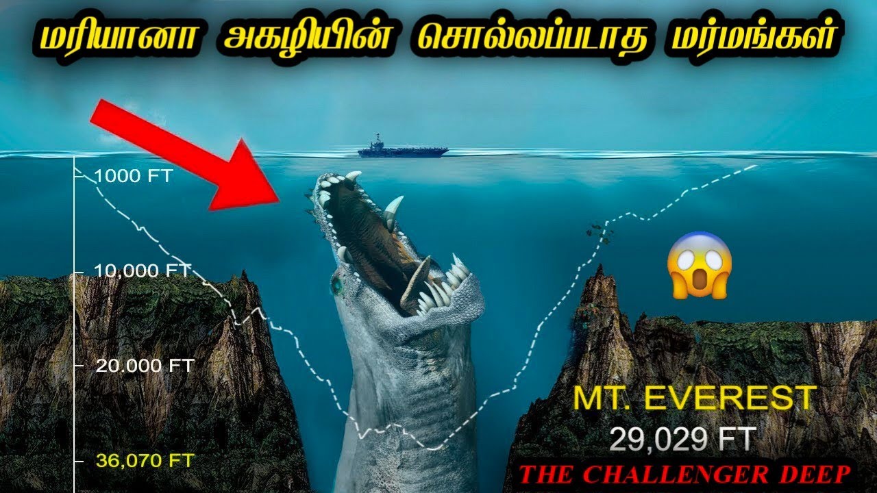மரியானாவின் அடி ஆழத்தில் என்னதான் இருக்கிறது⁉️|  Mariana Trench அதிர்ச்சியுட்டும் உண்மைகள் |
