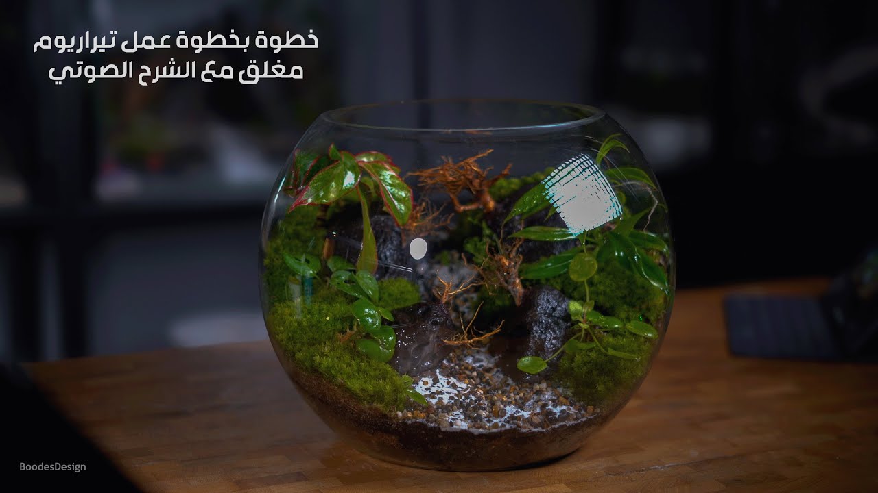عمل تيراريوم مغلق خطوة بخطوة مع شرح صوتي Make Closed Terrarium Tutuorial