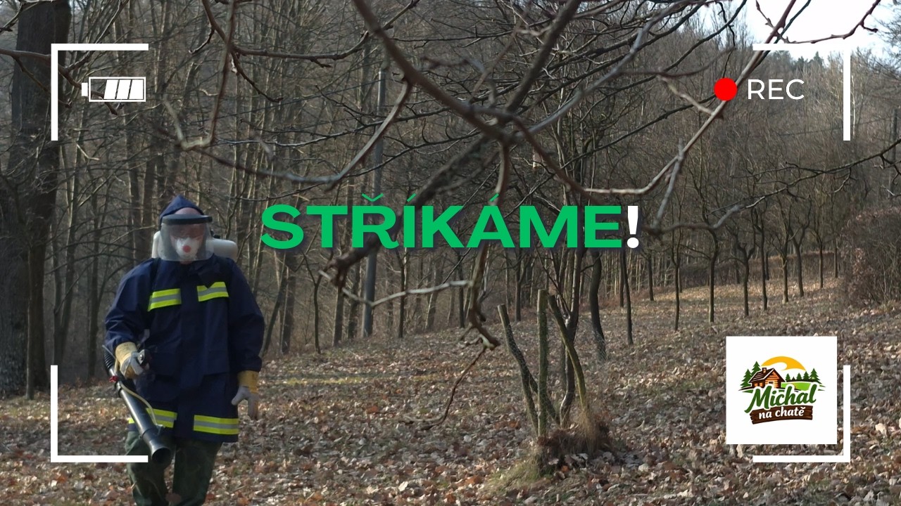 Postřik trnek na jaře 🌳 | ochrana stromů proti škůdcům