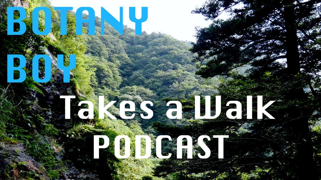 Walking Podcast, Botany Boy Hiking Japan