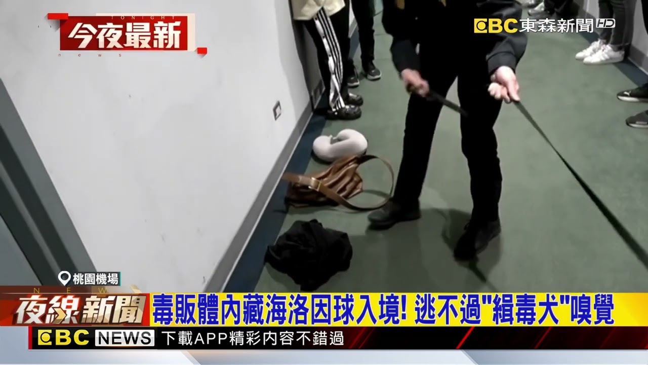 毒販體內藏海洛因球入境！ 逃不過「緝毒犬」嗅覺@newsebc