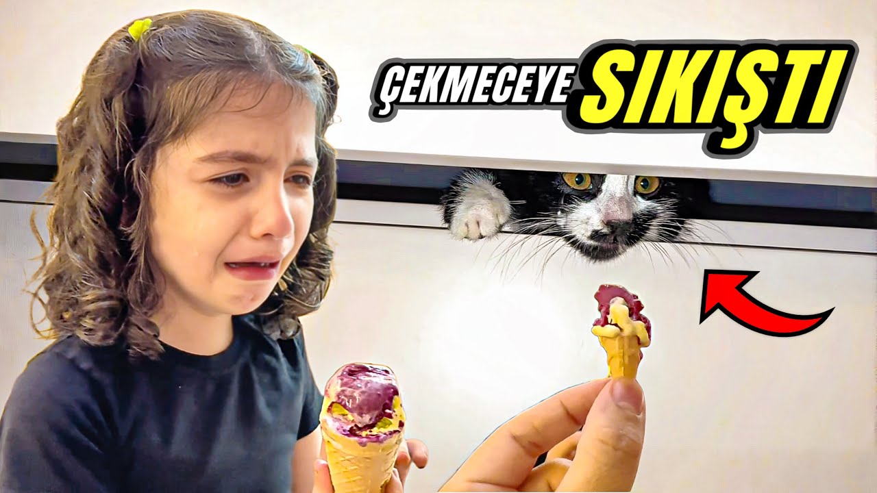 ESMANUR'UN KEDİSİ ÇEKMECEYE SIKIŞTI! ANNESİ DONDURMA VERDİ YİNEDE ÇIKMADI!! 