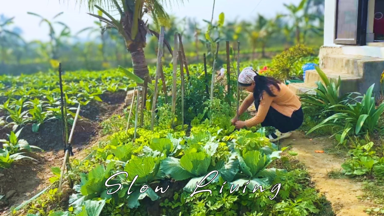 Seasonal Slow Living I Farm to Table Cooking in Our Cozy Kitchen I Rustic Kitchen Skills 🌿