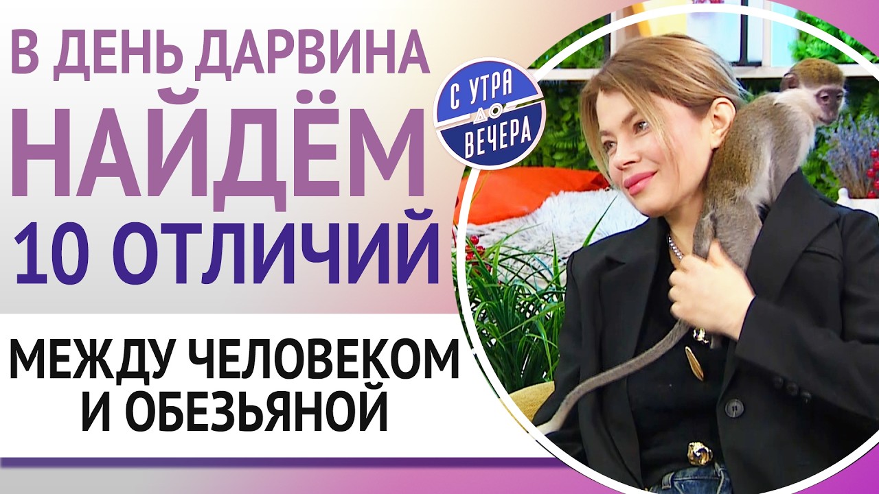 В День Дарвина найдём 10 отличий между человеком и обезьяной