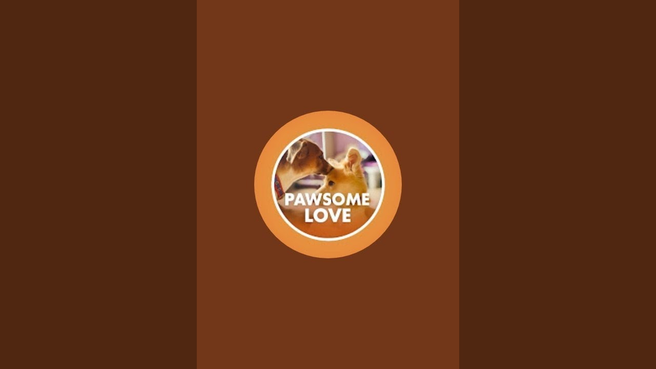 pawsome love  is live
