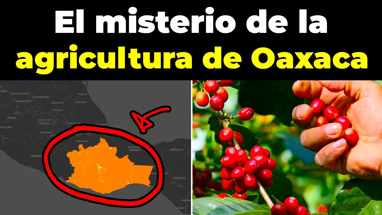 El misterio OCULTO de la Agricultura de OAXACA