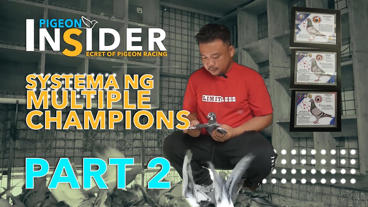PART 2 - Sistema ng isang back to back car winner at Multiple Overall Champion ng Bamban, Tarlac