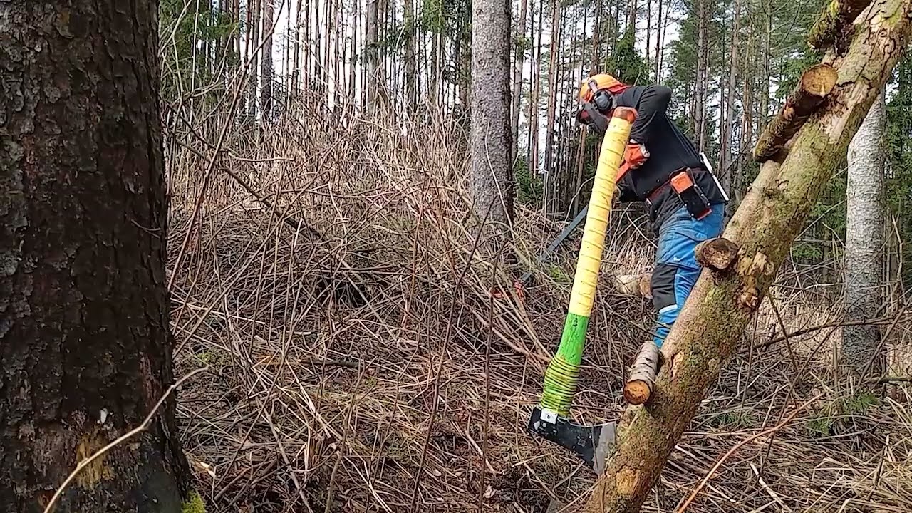 Tree Felling Compilation | Baumfällung-Zusammenstellung | Kompilace kácení