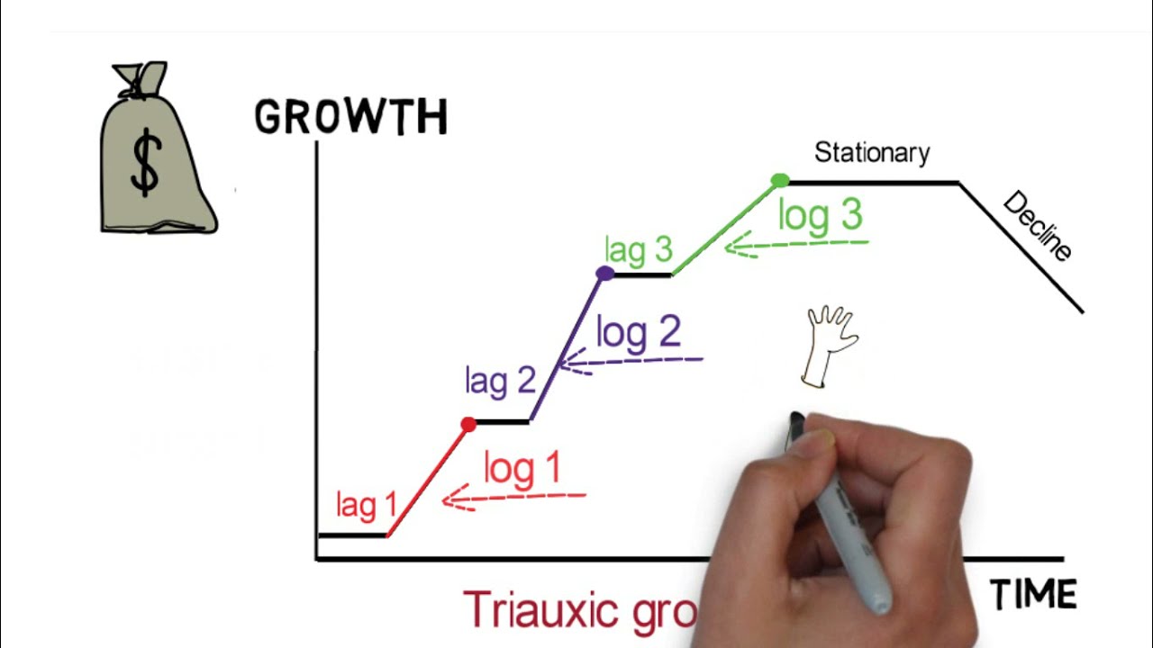 Microbiology: Di & tri auxic bacterial growth curve أشكال منحني نمو البكتريا