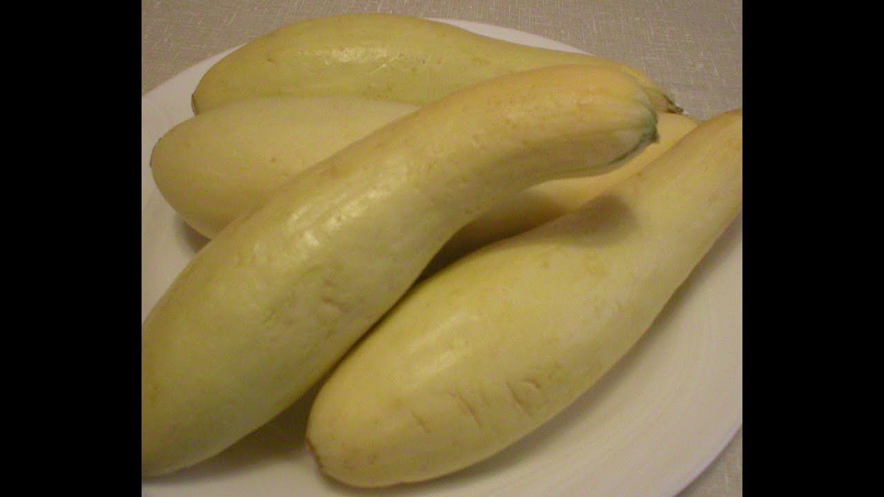 Yellow Squash 101 - The Basics