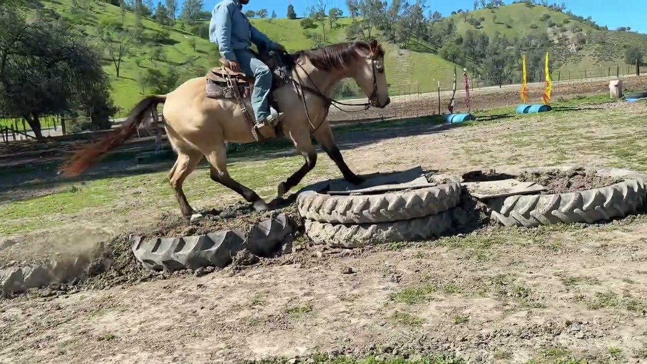 Spooks lil gallo 