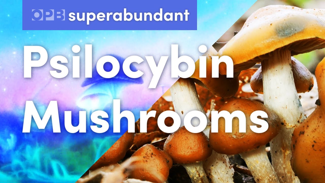 Psilocybin mushrooms, the psychedelic underground & community care in Oregon | Superabundant S2 E6