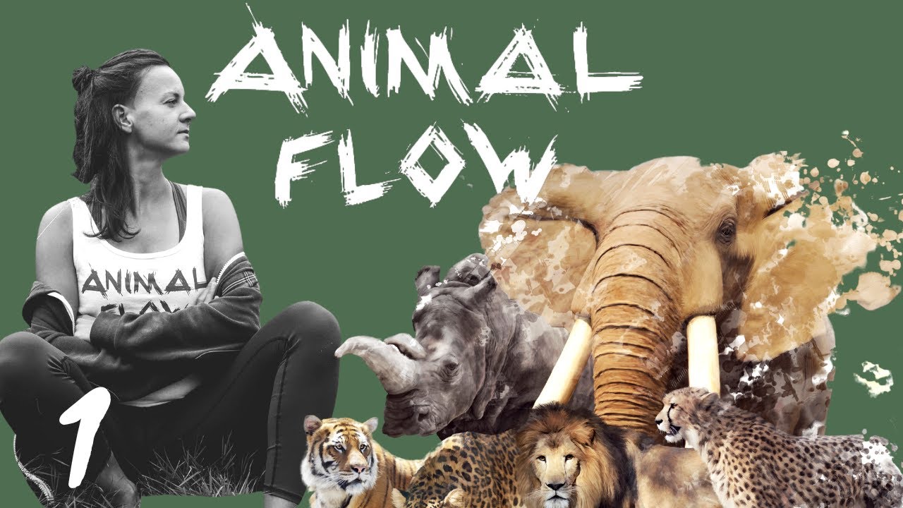 Animal Flow - Wprowadzenie/ Pozycja małpy [ deep ape ] odc.1