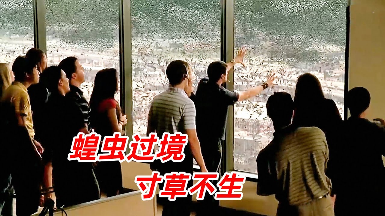 【阿奇】變異蝗蟲繁殖力驚人，分分鐘吞噬一座城市/末日驚悚片《極度驚蝗》
