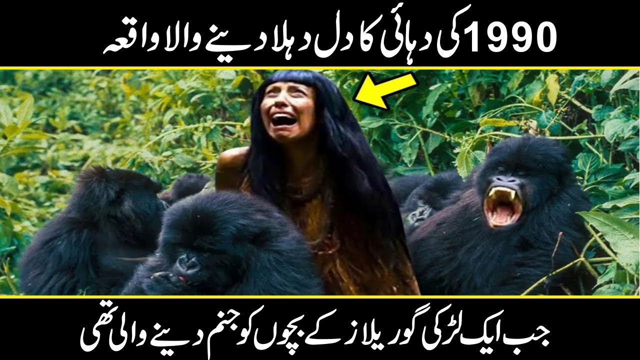 The REAL Story Behind A Gorilla Capturing A Woman In The Jungle