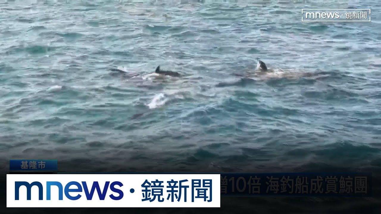 海豚現身基隆嶼！數量爆增10倍　海釣船成賞鯨團｜#鏡新聞