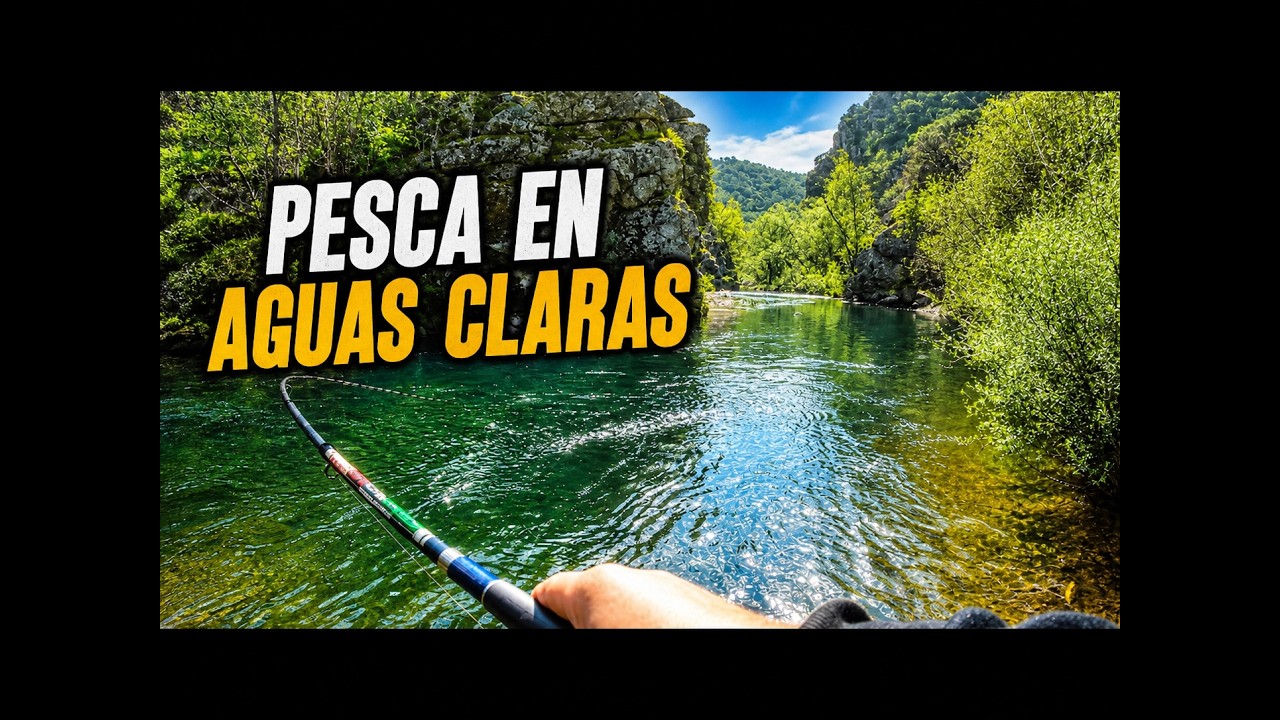 Buscando grandes truchas cebando Parte 5 | Temporada pesca 2019