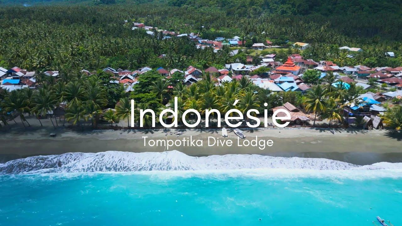 Plongée Tompotika Dive Lodge - Indonésie - Sulawesi - Underwater video
