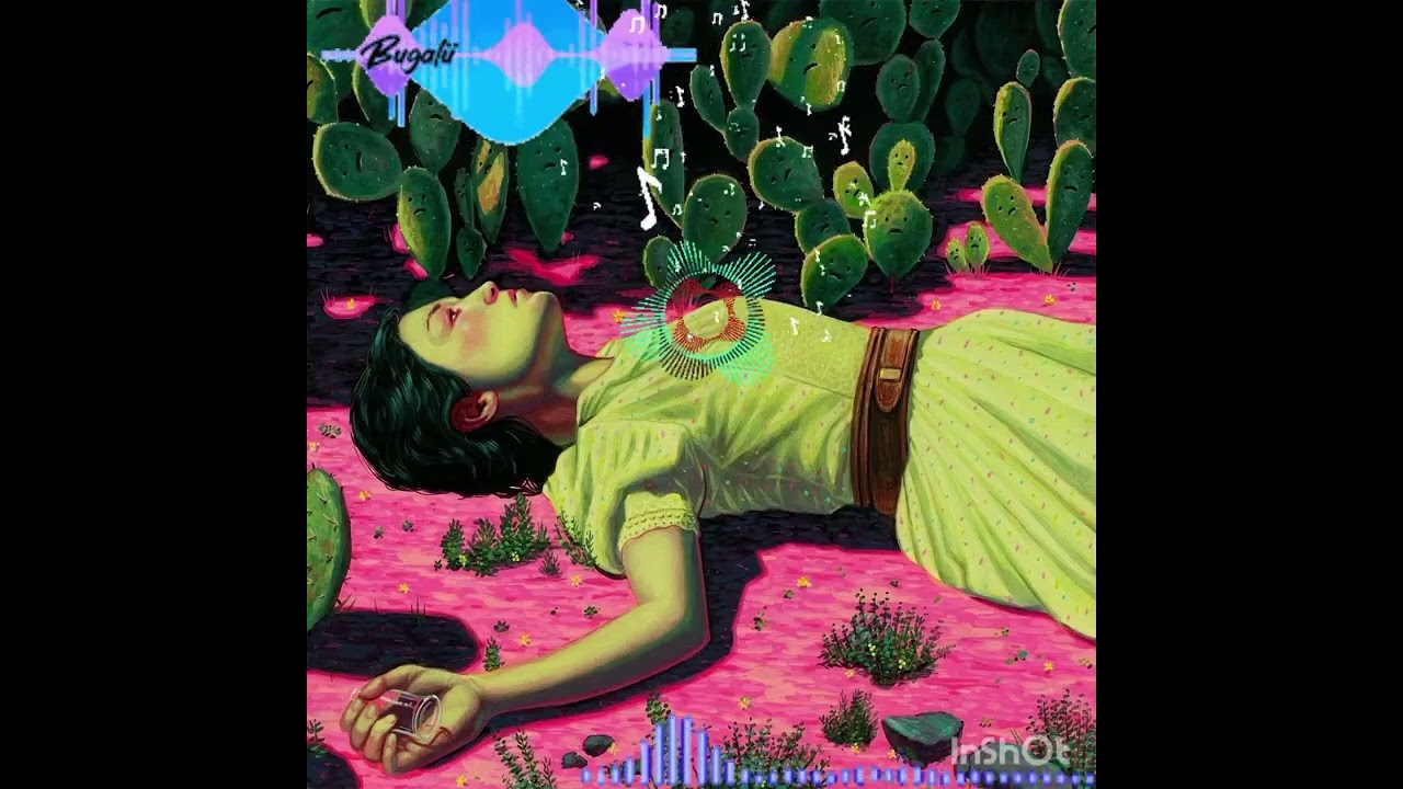 Niebla Futsi. DilerRip.