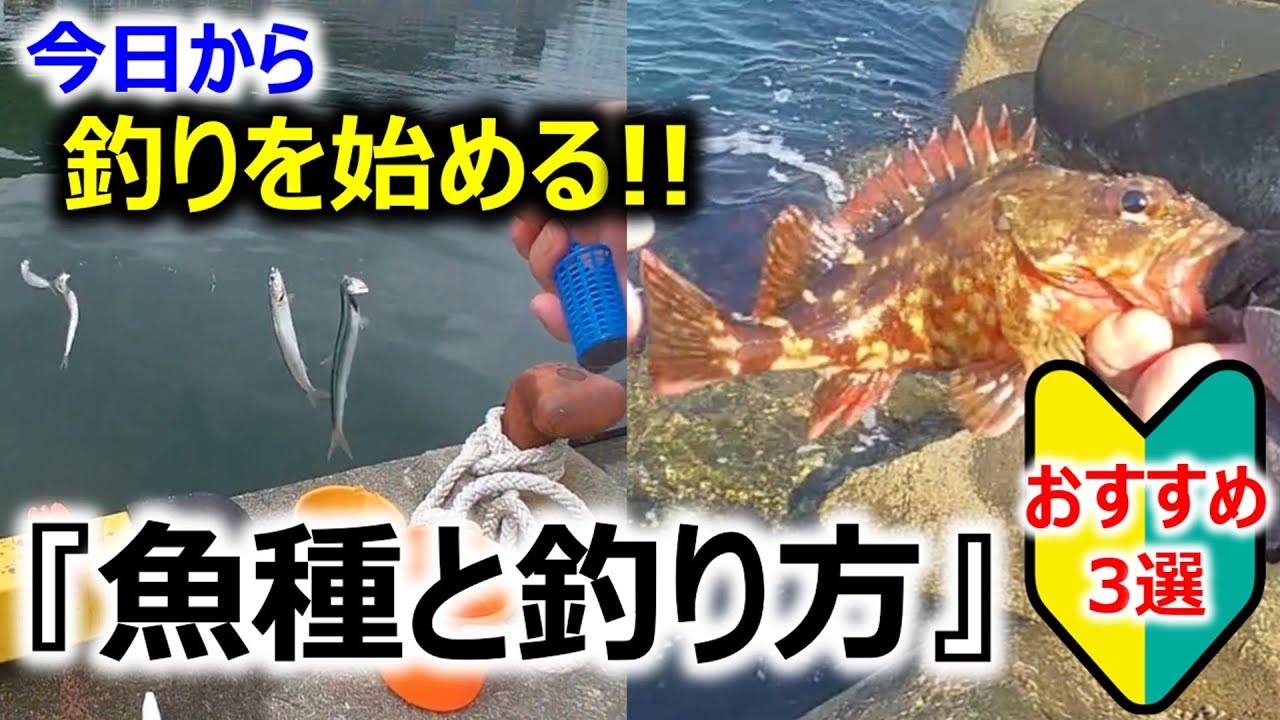 【釣りはじめる！】おすすめ魚種と釣り方3選
