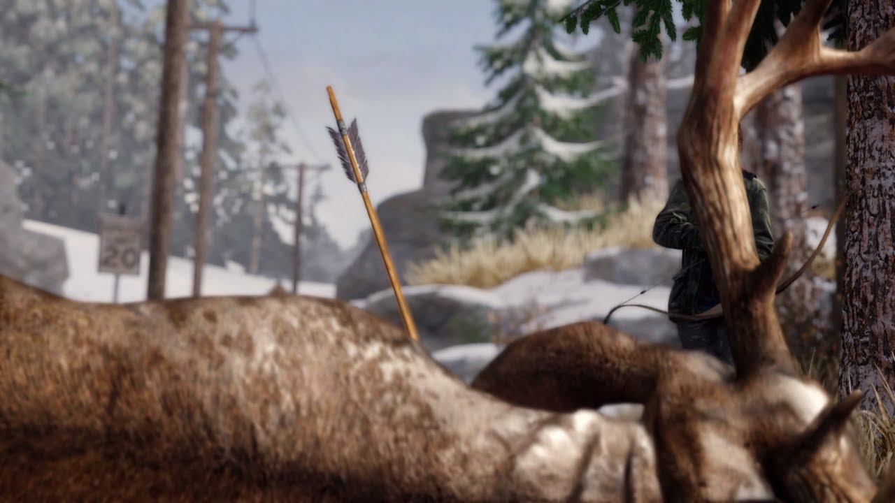 The Last of Us - Theres no such thing as luck | Part 10