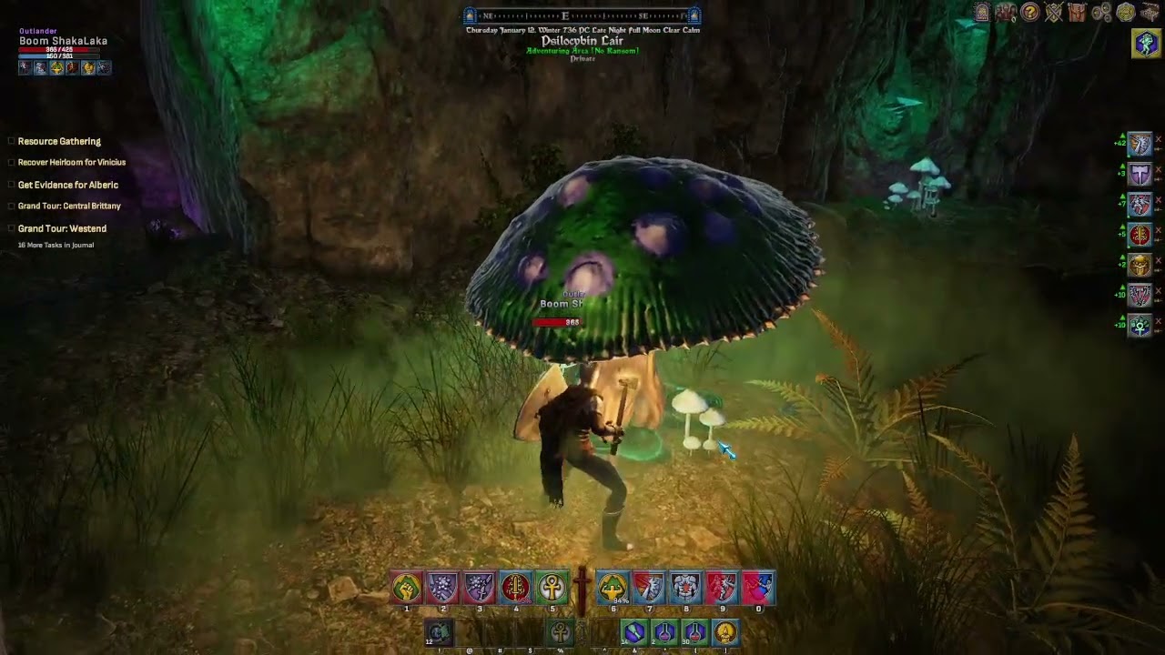 Shroud of the Avatar ( SOTA )