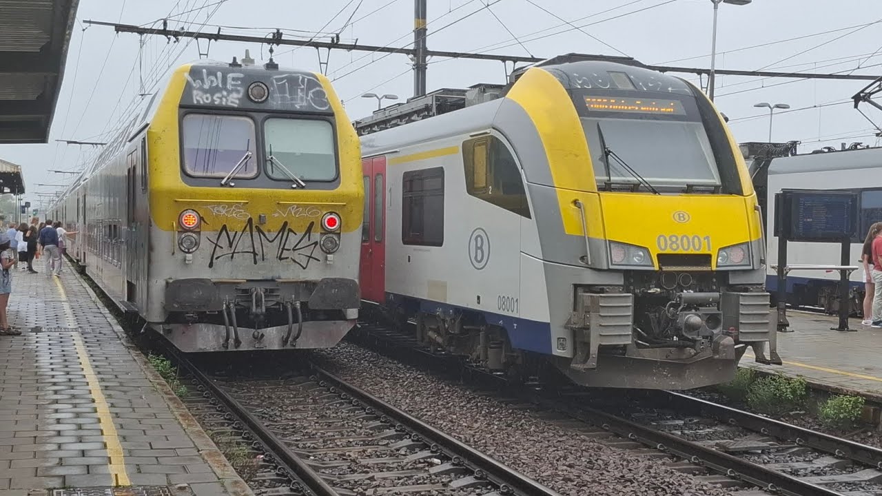 treinen in lier #train