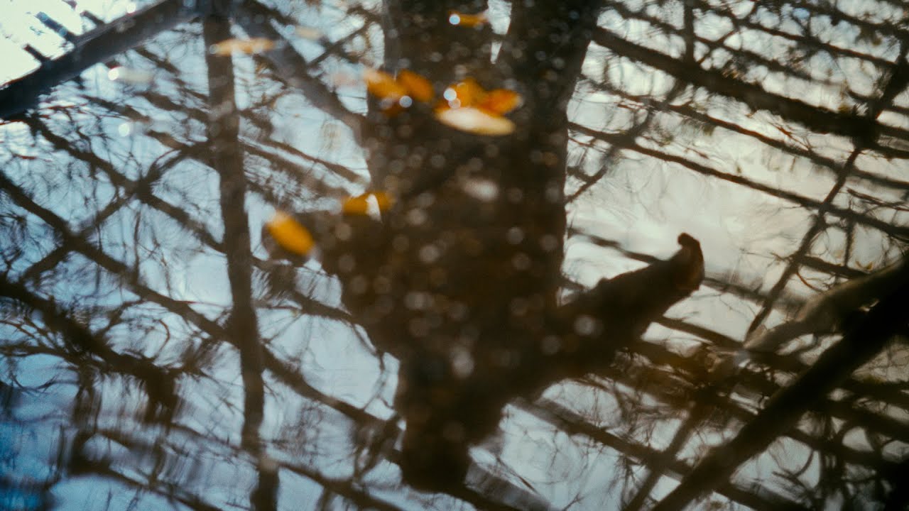 IBRA - FREESTYLE SERIES 01 (Prod. Cuki Music & MPadrums )