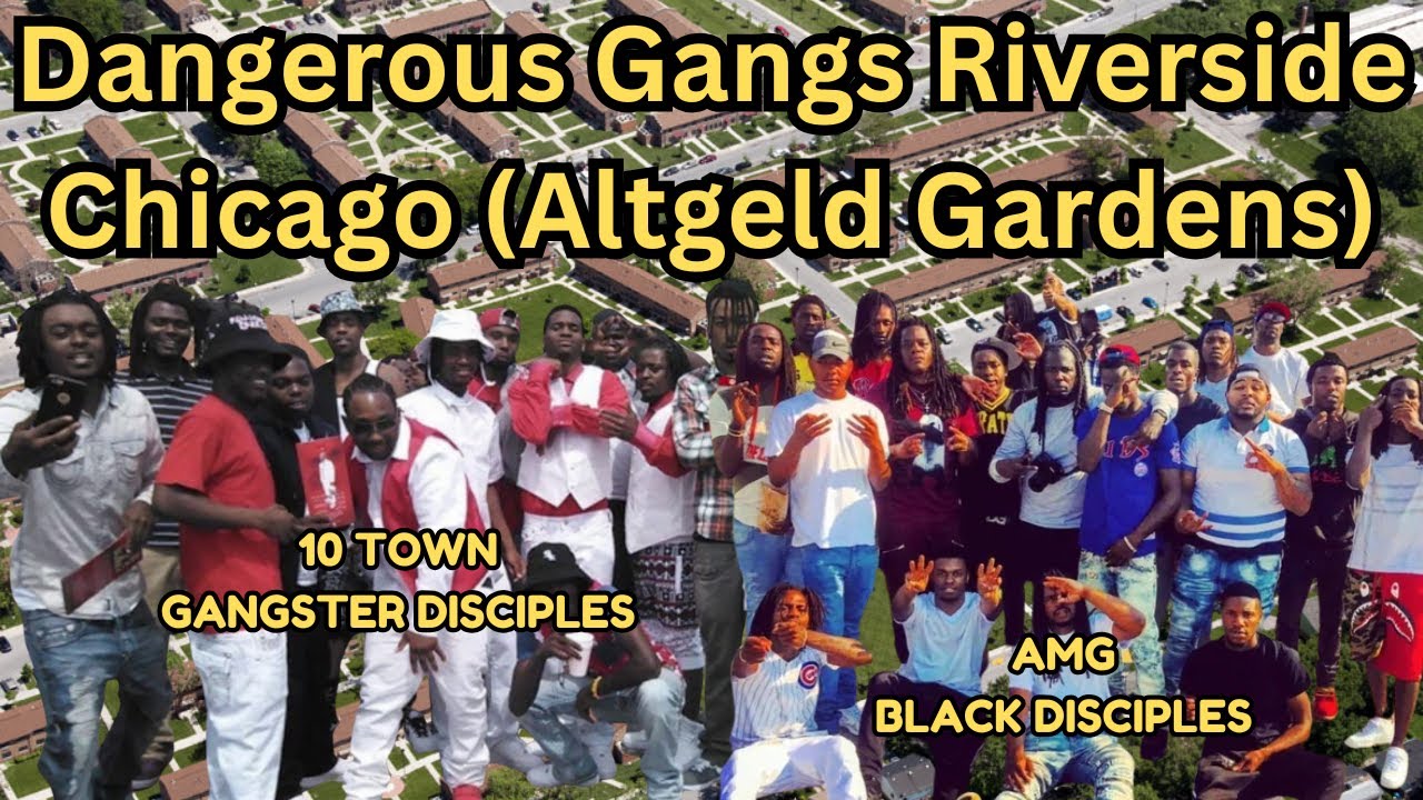 Dangerous Gangs in Altgeld Gardens Chicago | Home of the Black Disciples, GDs, BPS & VLs