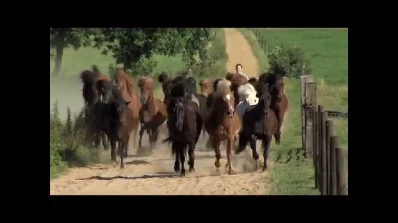 Islandpferde reiten in Deutschland mit PFERD & REITER
