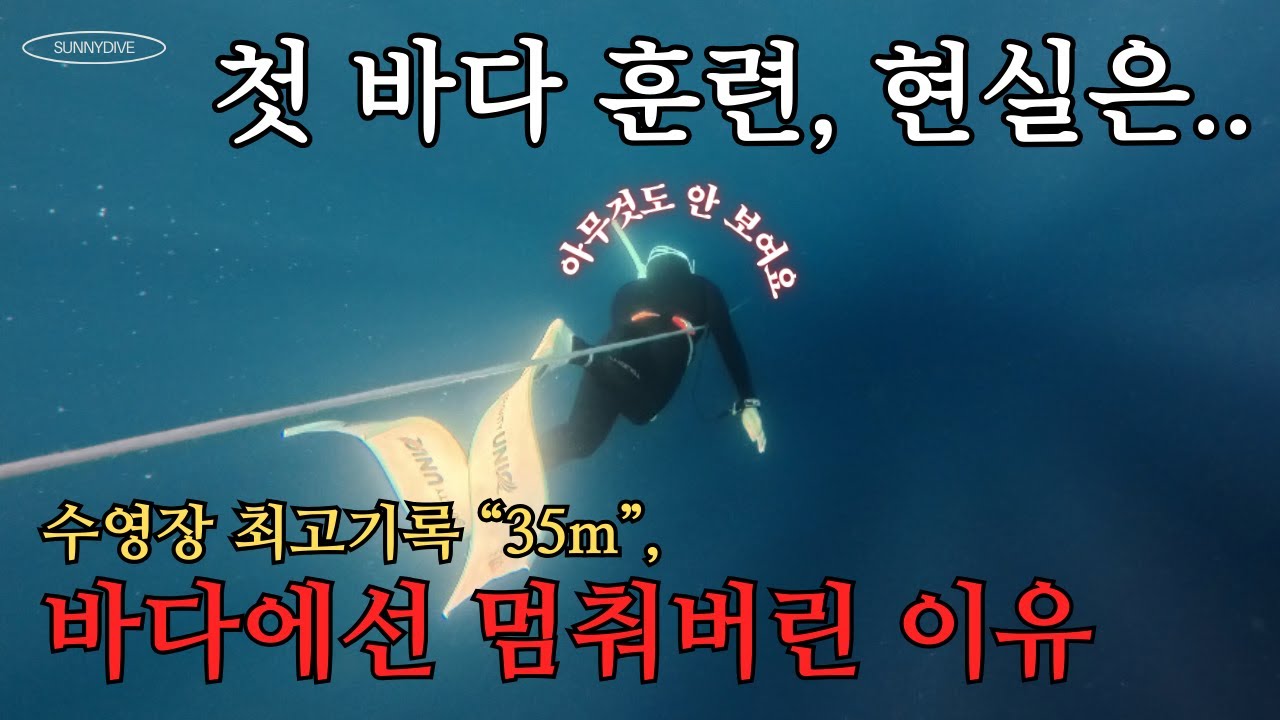 다시 간 보홀 ep01. 프리다이빙 첫 바다 트레이닝, 이렇게 무서울 줄 몰랐어요😰 해외 수심 트레이닝 후기 꿀팁 | bohol freediving training vlog