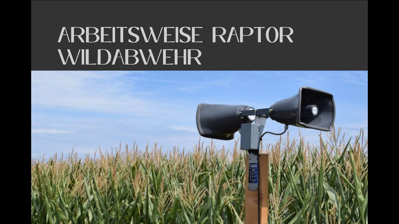 Akustische Wildabwehr [Probleme mit Wildschweinen?]