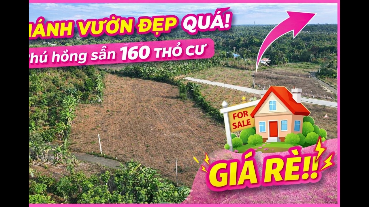 MIẾNG ĐẤT ĐẸP QUÁ, PHỦ HỒNG SẴN THỔ CƯ. anh hà không canh tác nên bán GIÁ RẺ cho người cần.