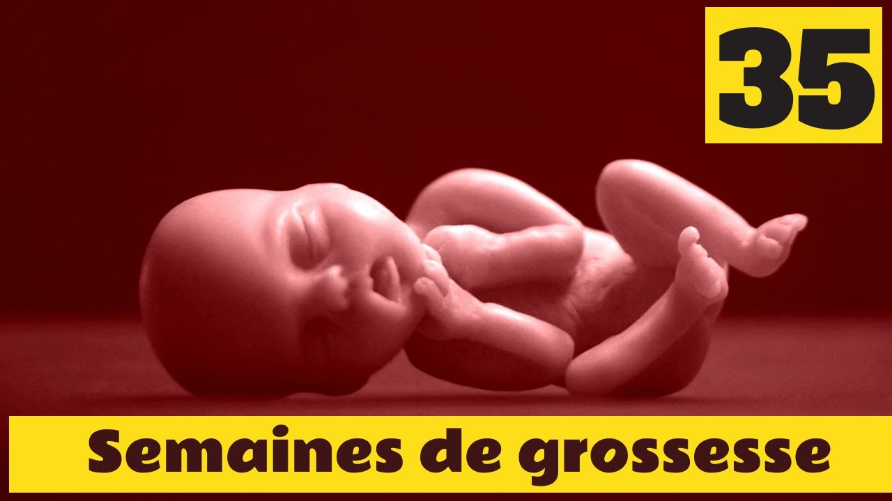 35 semaines de grossesse : Que fait votre b&eacute;b&eacute; cette semaine ? D&eacute;couvrez sa taille et son poids !