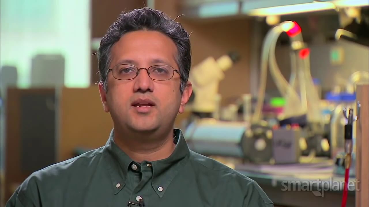 Implantable artificial kidney may cure chronic kidney disease